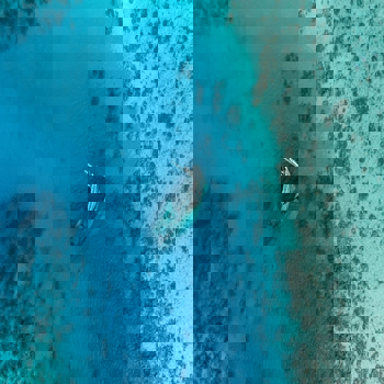 course image
